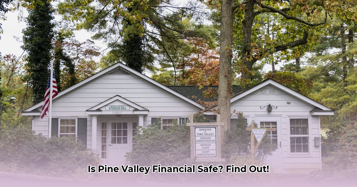 pine-valley-financial